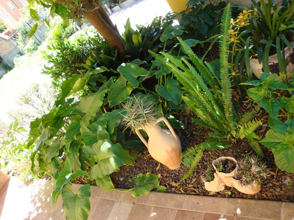 Andoramare B&B Ngoại thất bức ảnh